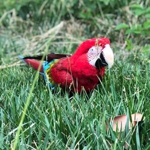 Meet your Posher, Nate